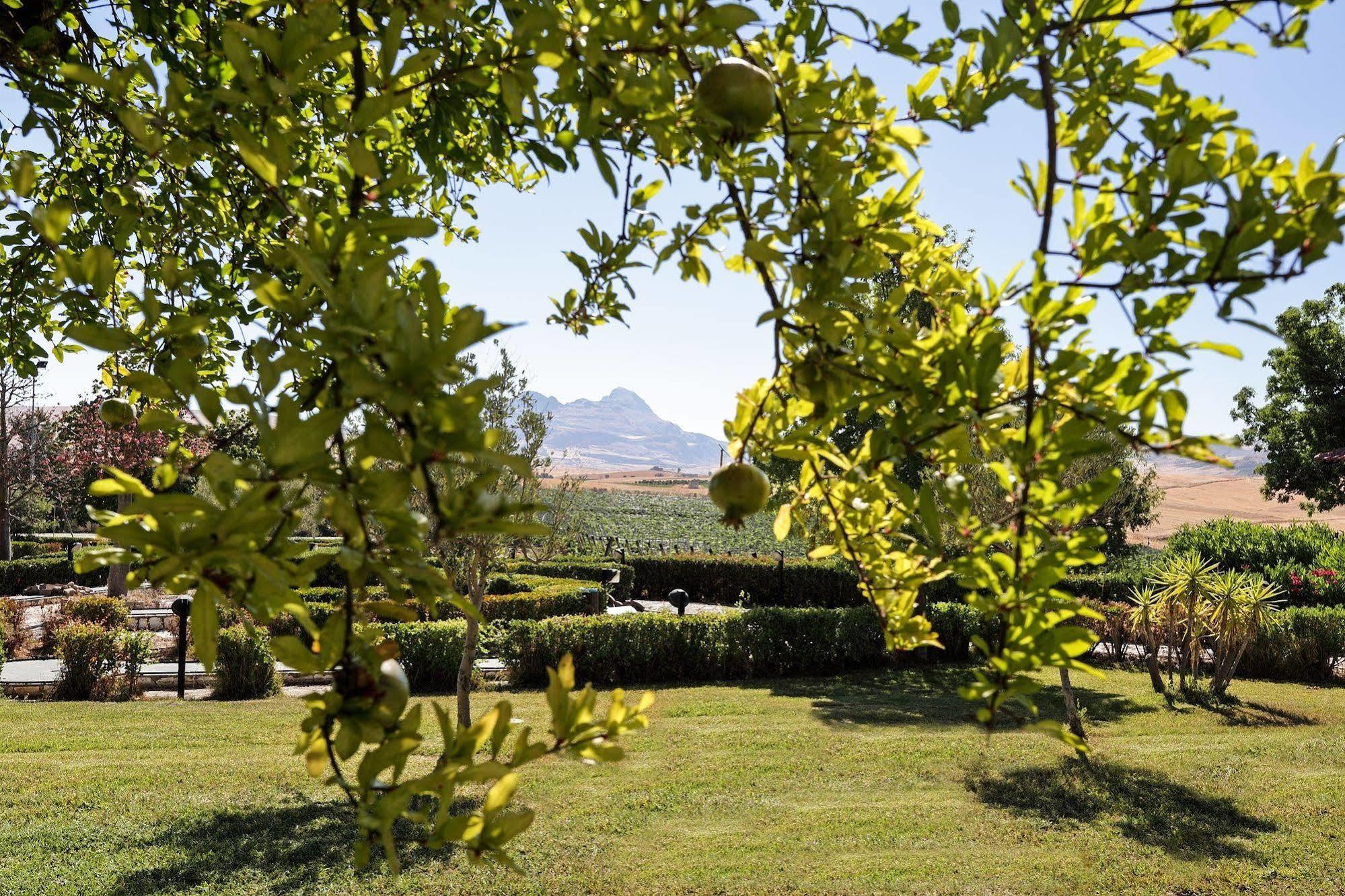 Agriturismo Tenute Pollara Roccamena エクステリア 写真